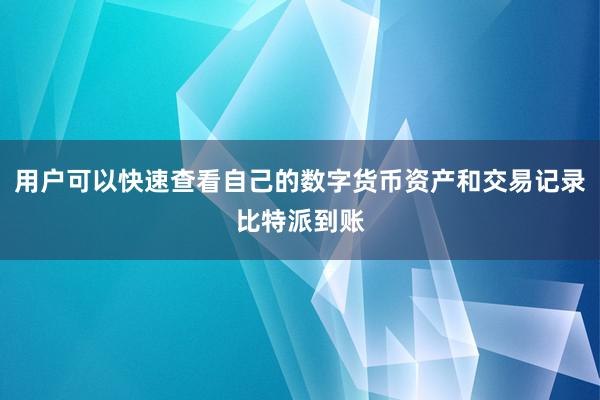 用户可以快速查看自己的数字货币资产和交易记录比特派到账