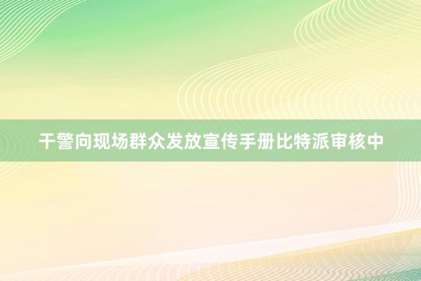 干警向现场群众发放宣传手册比特派审核中