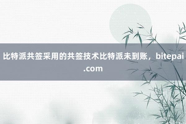 比特派共签采用的共签技术比特派未到账，bitepai.com