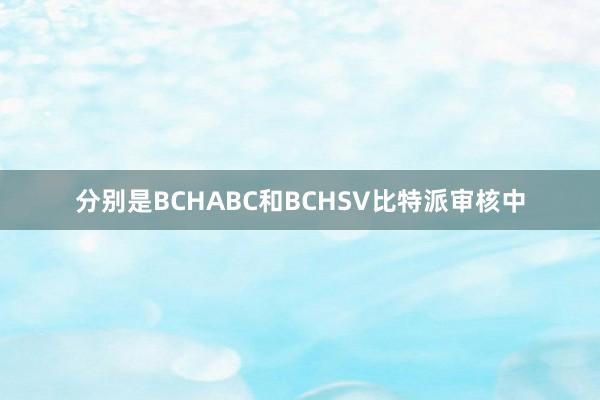 分别是BCHABC和BCHSV比特派审核中