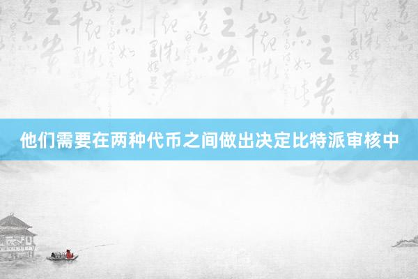 他们需要在两种代币之间做出决定比特派审核中