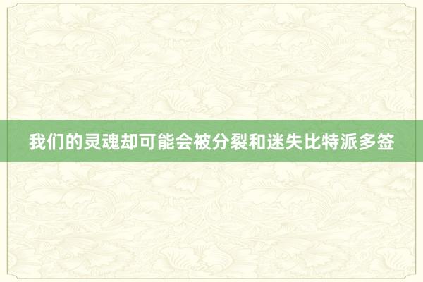 我们的灵魂却可能会被分裂和迷失比特派多签