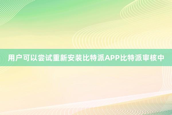 用户可以尝试重新安装比特派APP比特派审核中