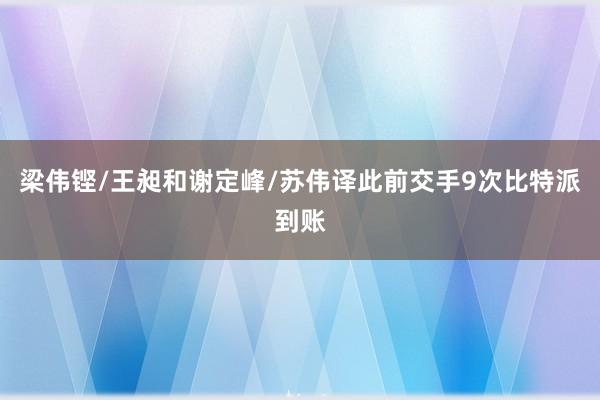 梁伟铿/王昶和谢定峰/苏伟译此前交手9次比特派到账