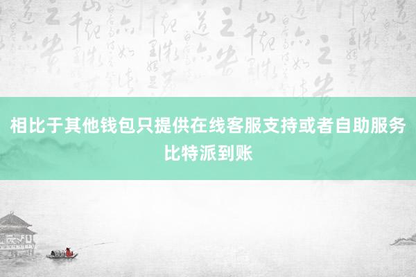 相比于其他钱包只提供在线客服支持或者自助服务比特派到账