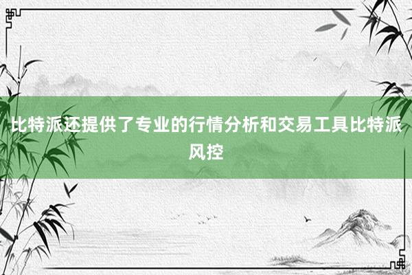 比特派还提供了专业的行情分析和交易工具比特派风控