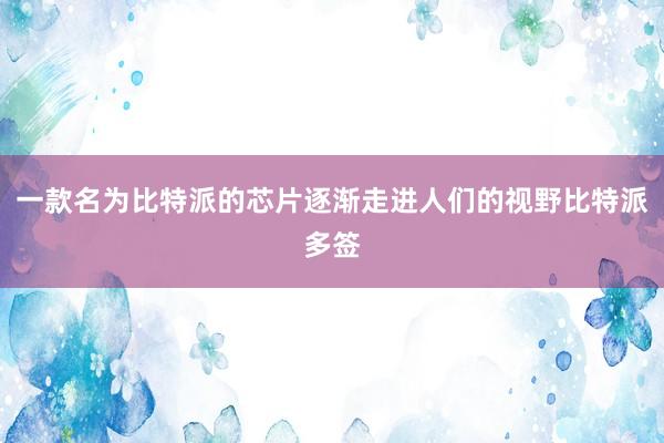 一款名为比特派的芯片逐渐走进人们的视野比特派多签