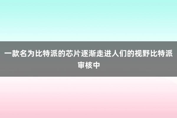 一款名为比特派的芯片逐渐走进人们的视野比特派审核中