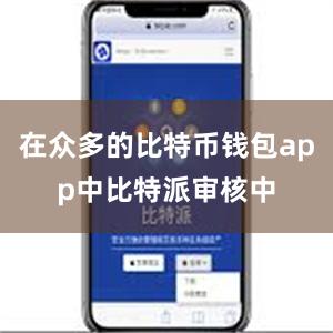 在众多的比特币钱包app中比特派审核中