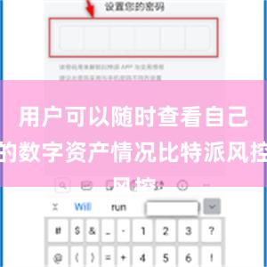 用户可以随时查看自己的数字资产情况比特派风控