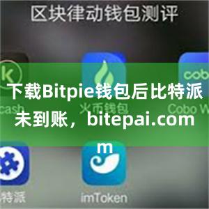 下载Bitpie钱包后比特派未到账，bitepai.com