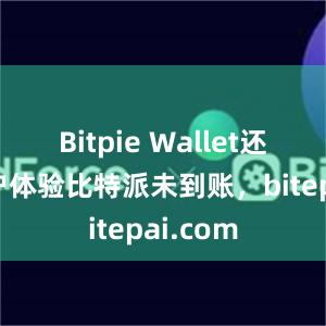 Bitpie Wallet还注重用户体验比特派未到账，bitepai.com