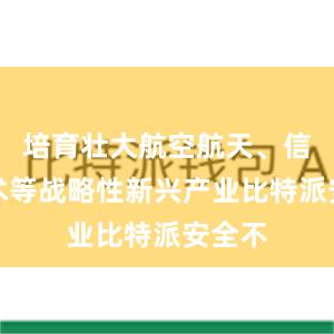 培育壮大航空航天、信息技术等战略性新兴产业比特派安全不