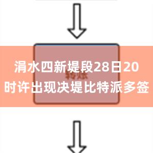 涓水四新堤段28日20时许出现决堤比特派多签