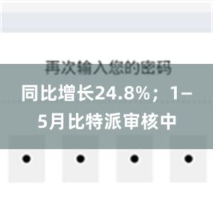 同比增长24.8%；1—5月比特派审核中