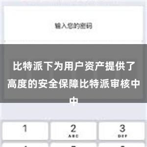 比特派下为用户资产提供了高度的安全保障比特派审核中