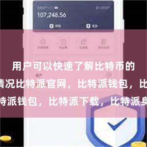 用户可以快速了解比特币的价格波动情况比特派官网，比特派钱包，比特派下载，比特派身份